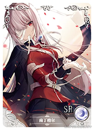 NS-02-M14-1 Florence Nightingale | Fate Series